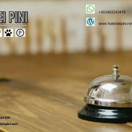 Dei Pini Hotel *
